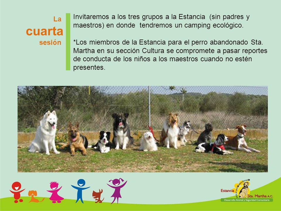 Invitaremos a los tres grupos a la Estancia (sin padres y maestros) en donde tendremos un camping ecológico.