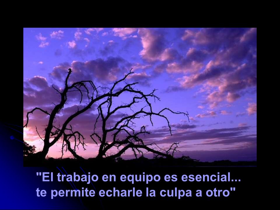 El trabajo en equipo es esencial... te permite echarle la culpa a otro