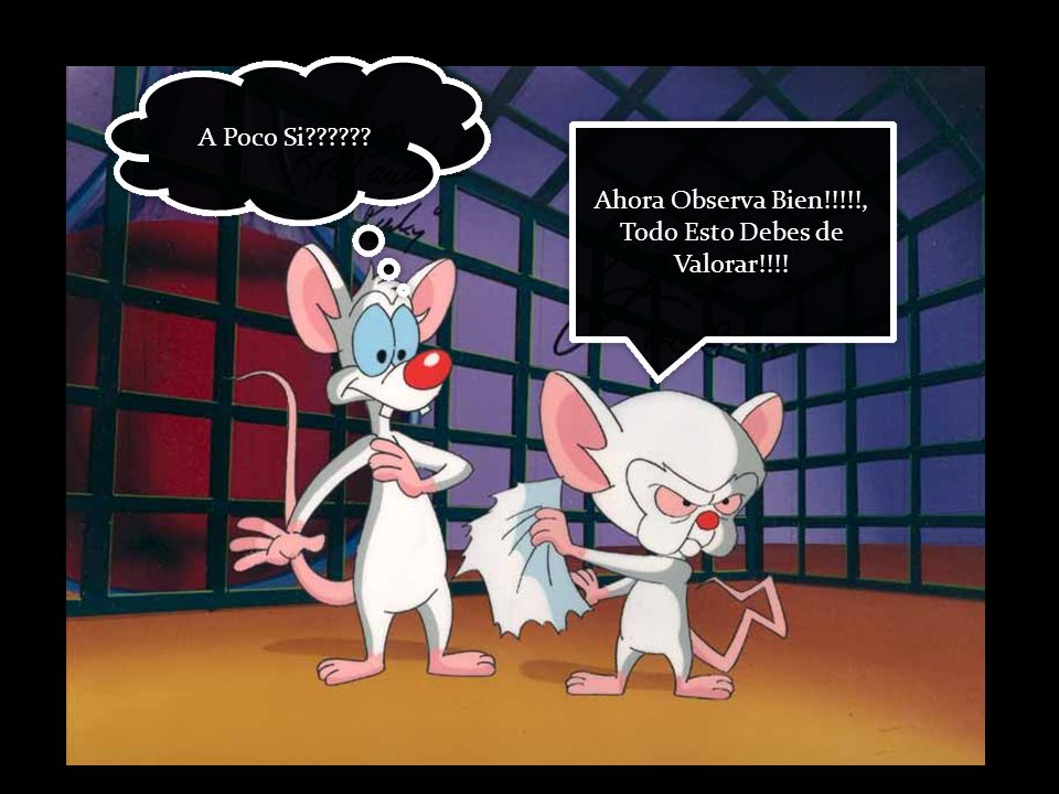 Ahora Observa Bien!!!!!, Todo Esto Debes de Valorar!!!!