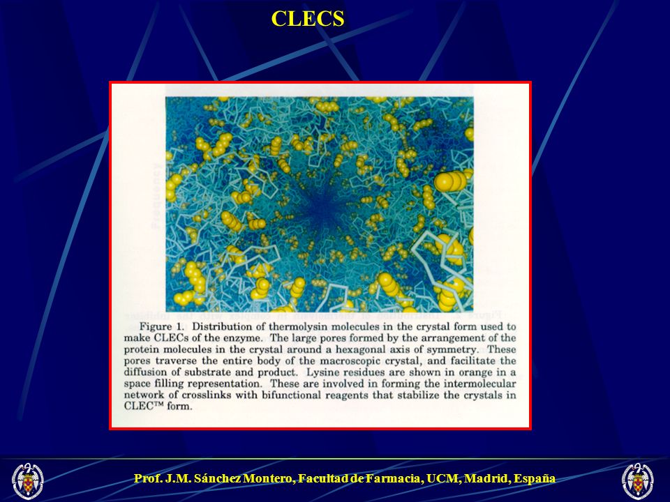 CLECS Prof. J.M. Sánchez Montero, Facultad de Farmacia, UCM, Madrid, España
