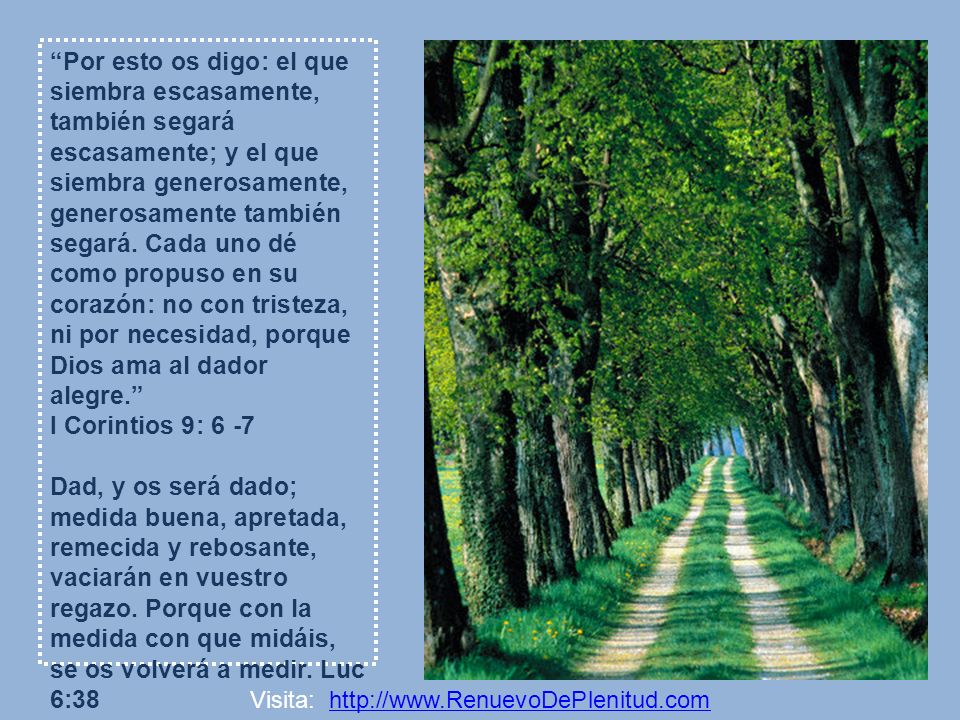 Por esto os digo: el que siembra escasamente, también segará escasamente; y el que siembra generosamente, generosamente también segará. Cada uno dé como propuso en su corazón: no con tristeza, ni por necesidad, porque Dios ama al dador alegre.