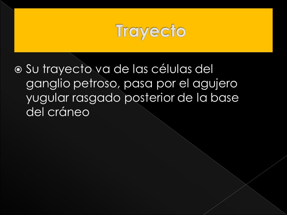 Trayecto Su trayecto va de las células del ganglio petroso, pasa por el agujero yugular rasgado posterior de la base del cráneo.