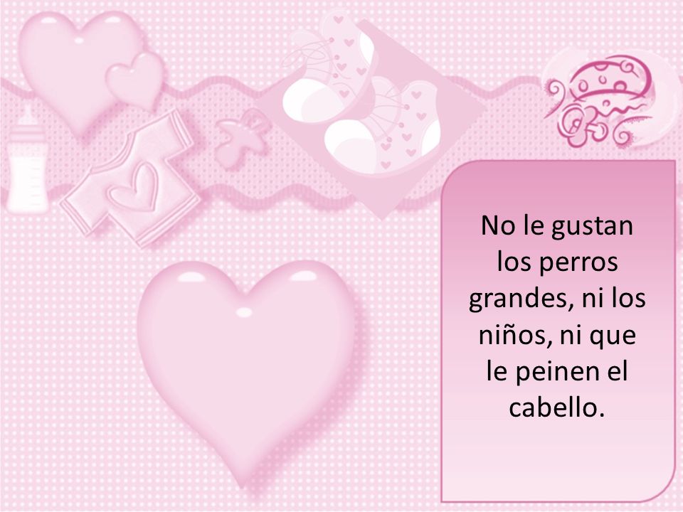 No le gustan los perros grandes, ni los niños, ni que le peinen el cabello.