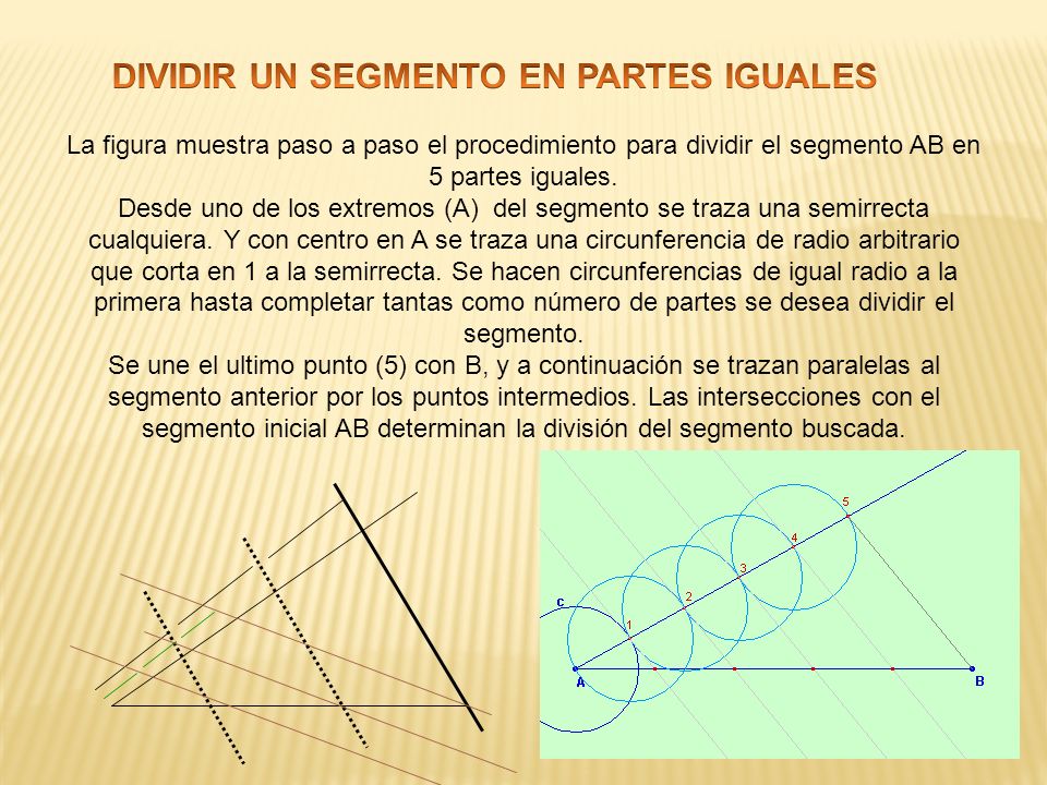 DIVIDIR UN SEGMENTO EN PARTES IGUALES