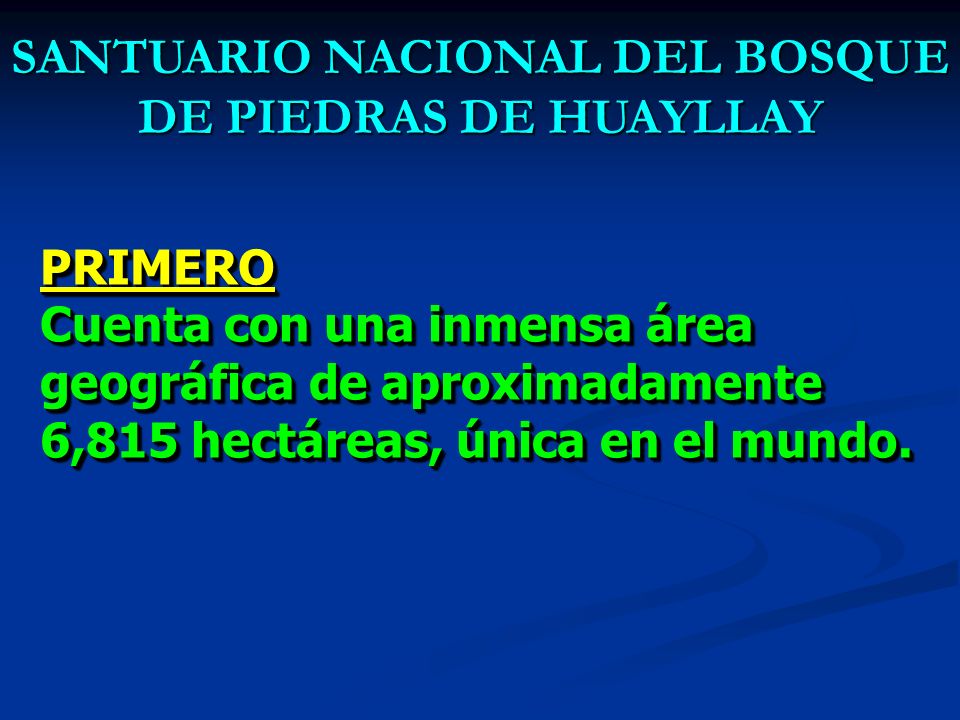 SANTUARIO NACIONAL DEL BOSQUE DE PIEDRAS DE HUAYLLAY