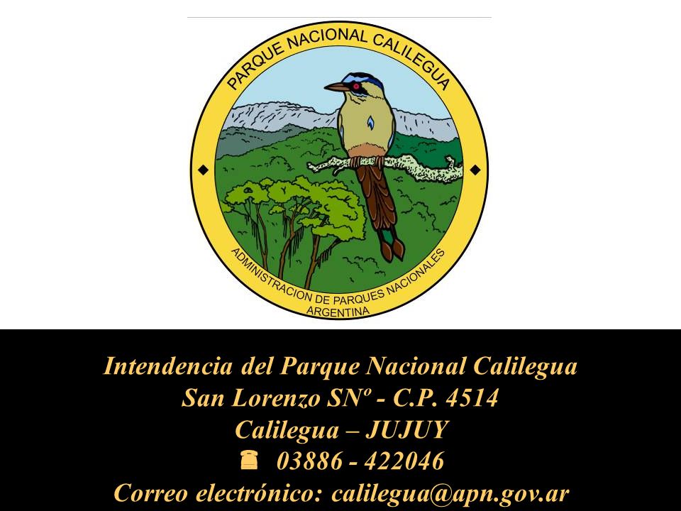 Intendencia del Parque Nacional Calilegua San Lorenzo SNº - C. P