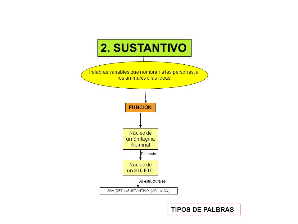 2. SUSTANTIVO TIPOS DE PALBRAS