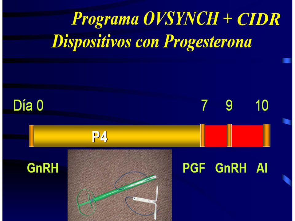 CIDR Mantenemos la P4 (ovule o no ovule el FD).