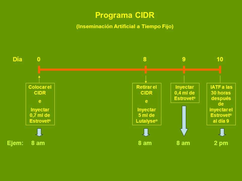 Programa CIDR Día Ejem: 8 am 8 am 8 am 2 pm