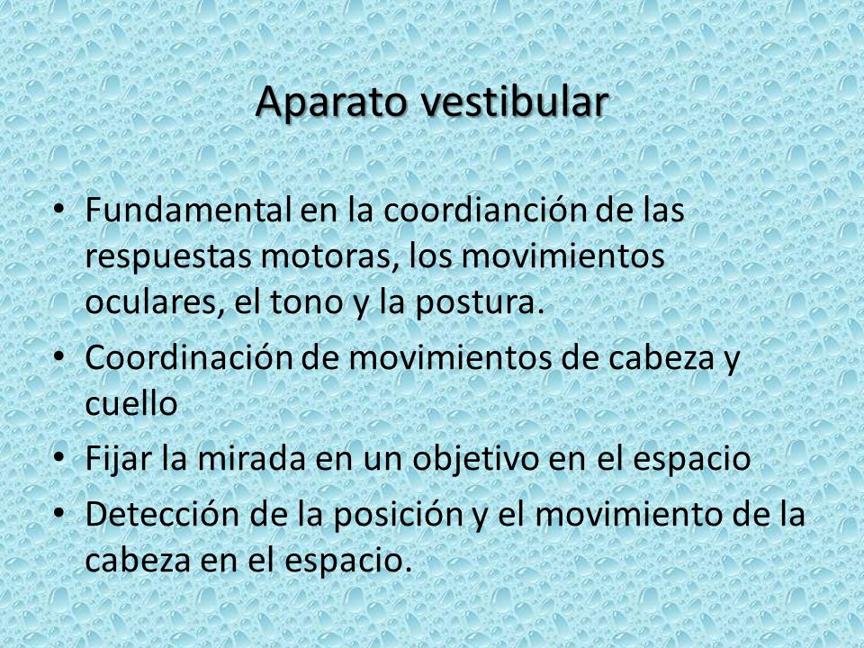 Aparato vestibular Fundamental en la coordianción de las respuestas motoras, los movimientos oculares, el tono y la postura.