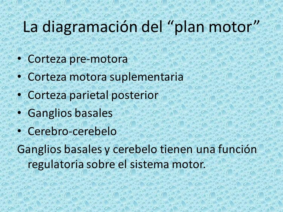 La diagramación del plan motor