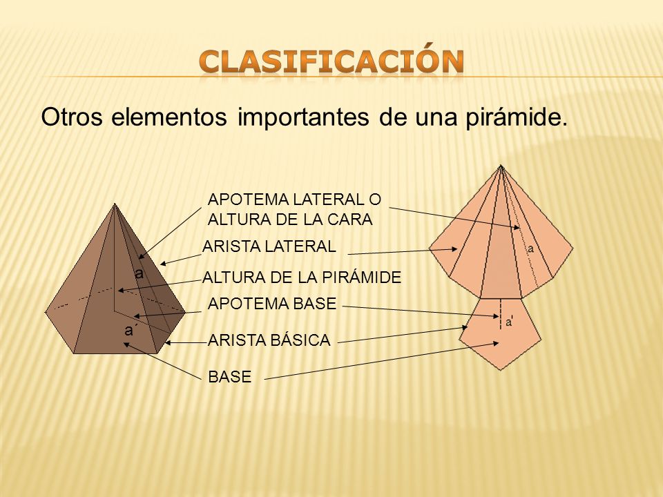 clasificación Otros elementos importantes de una pirámide.