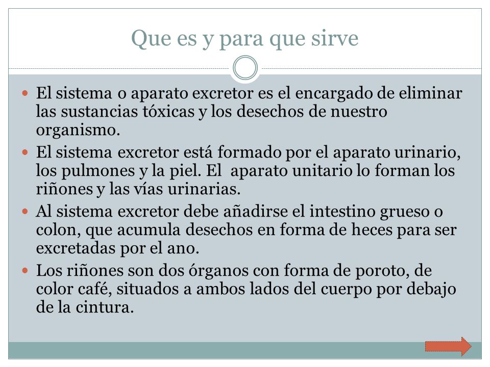 Que es y para que sirve El sistema o aparato excretor es el encargado de eliminar las sustancias tóxicas y los desechos de nuestro organismo.
