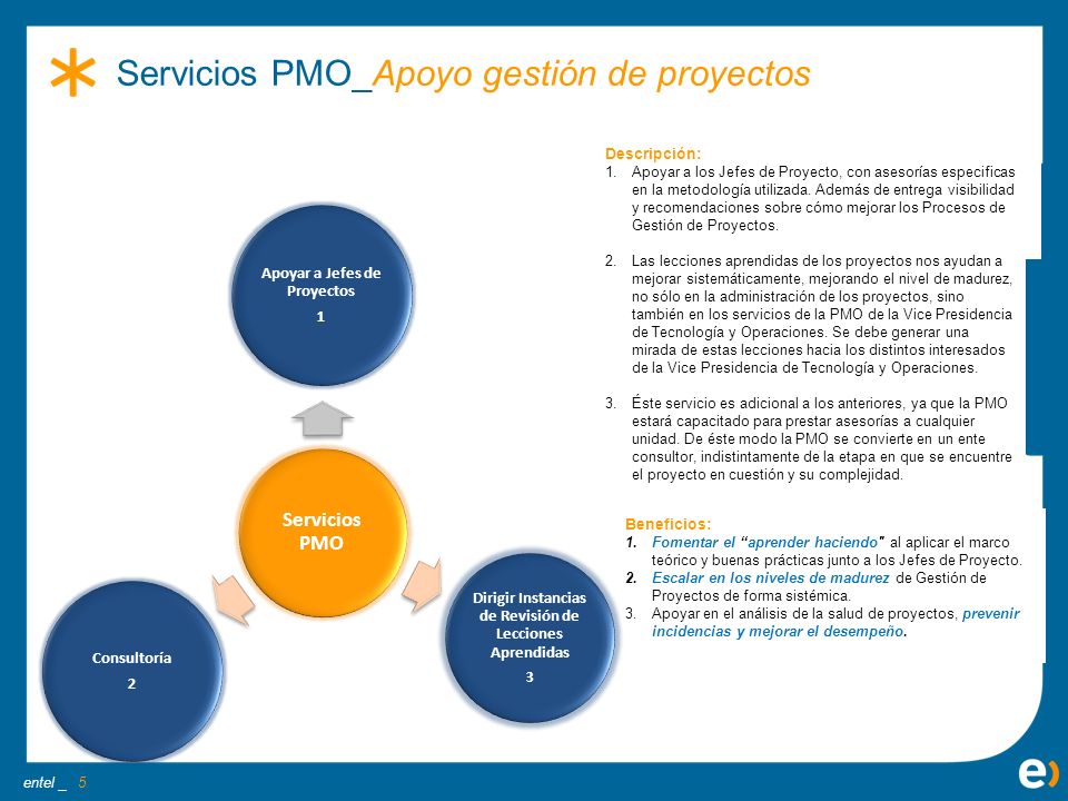Servicios PMO_Apoyo gestión de proyectos