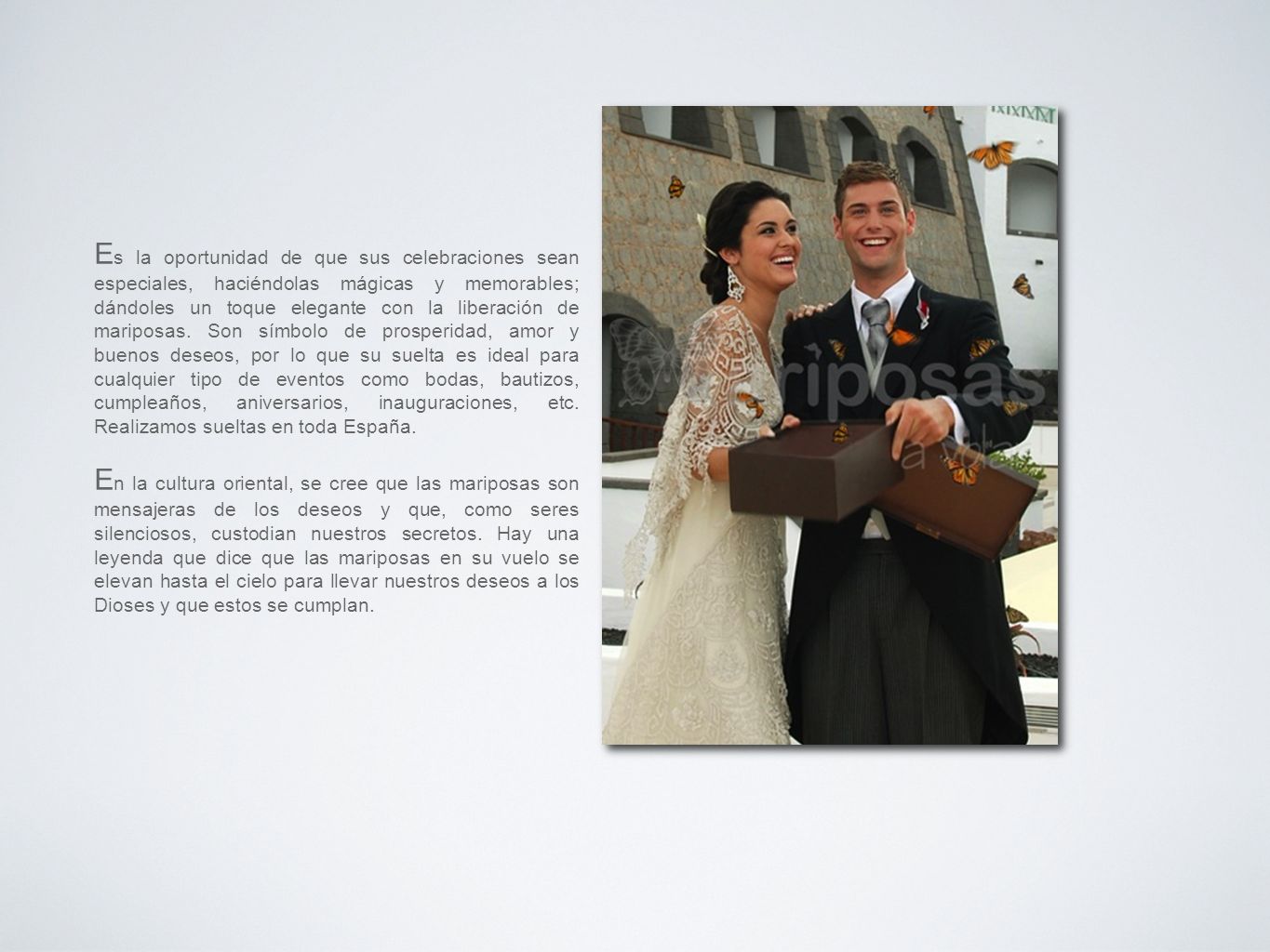 Es la oportunidad de que sus celebraciones sean especiales, haciéndolas mágicas y memorables; dándoles un toque elegante con la liberación de mariposas. Son símbolo de prosperidad, amor y buenos deseos, por lo que su suelta es ideal para cualquier tipo de eventos como bodas, bautizos, cumpleaños, aniversarios, inauguraciones, etc. Realizamos sueltas en toda España.