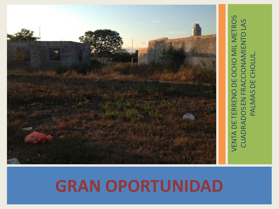 VENTA DE TERRENO DE OCHO MIL METROS CUADRADOS EN FRACCIONAMIENTO LAS PALMAS DE CHOLUL.