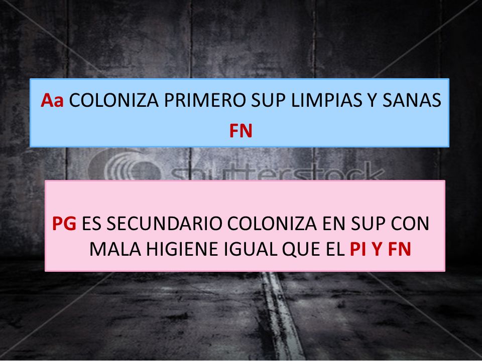 Aa COLONIZA PRIMERO SUP LIMPIAS Y SANAS FN PG ES SECUNDARIO COLONIZA EN SUP CON MALA HIGIENE IGUAL QUE EL PI Y FN