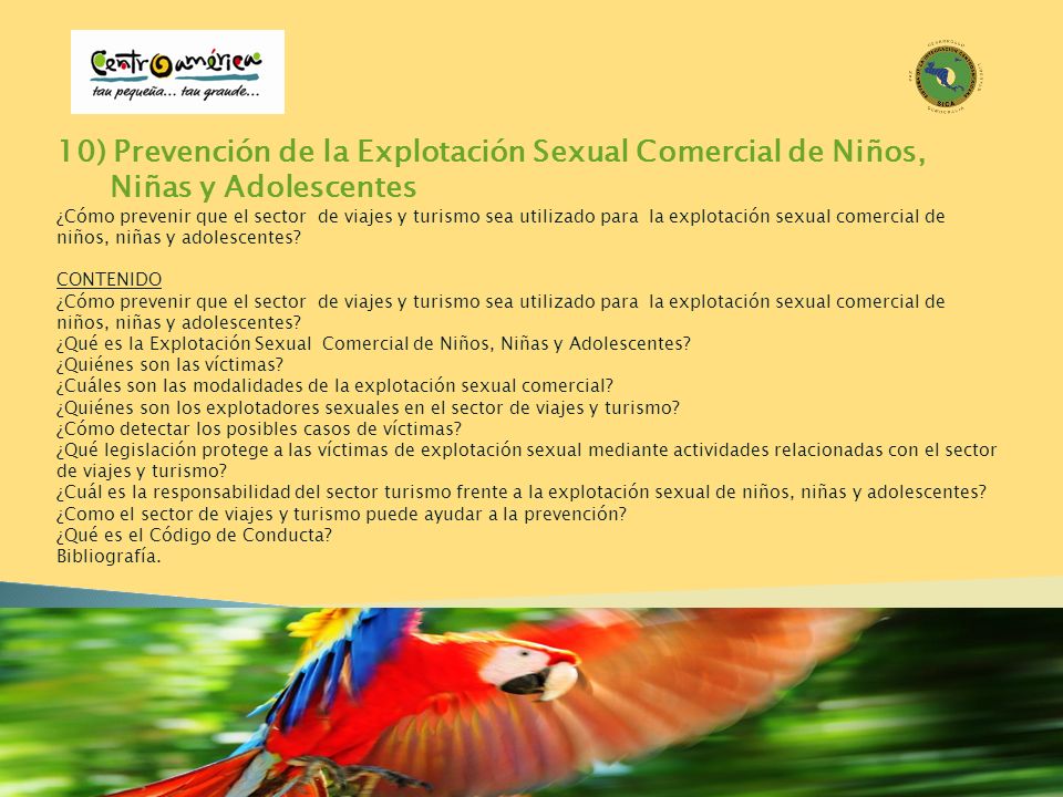 10) Prevención de la Explotación Sexual Comercial de Niños, Niñas y Adolescentes