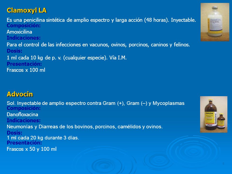 Clamoxyl LA Es una penicilina sintética de amplio espectro y larga acción (48 horas). Inyectable. Composición: