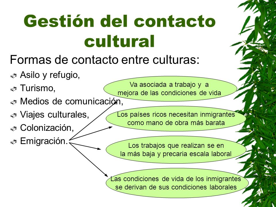 Gestión del contacto cultural