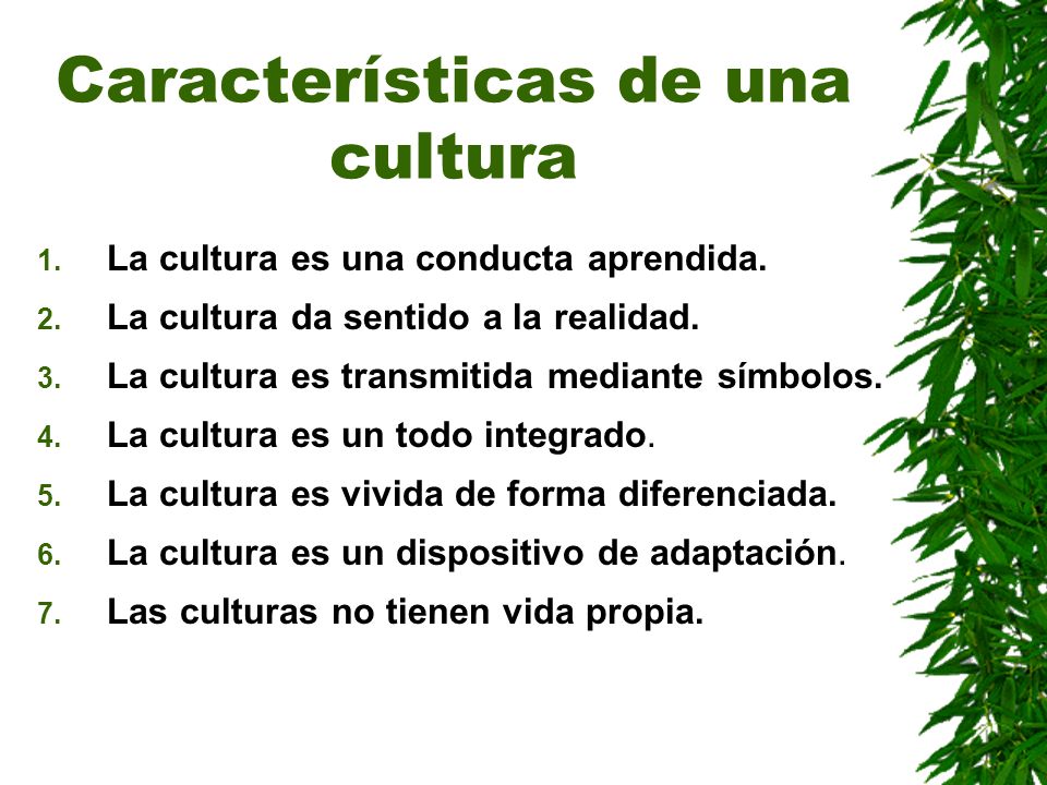 Características de una cultura