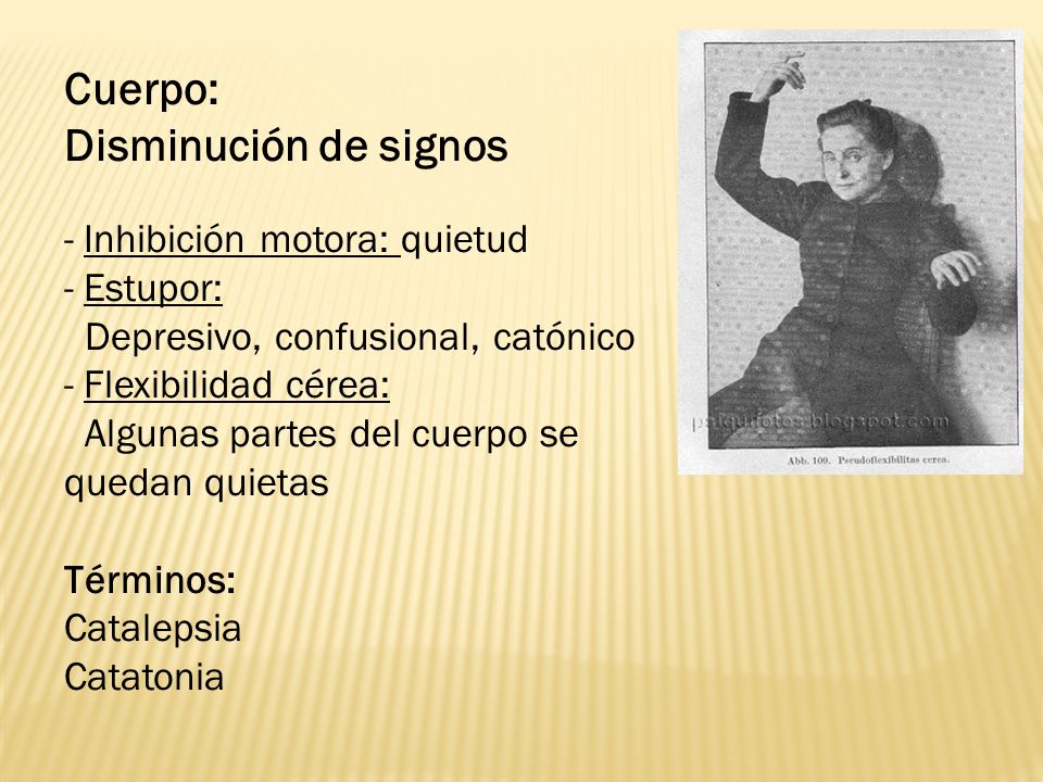 Cuerpo: Disminución de signos Inhibición motora: quietud Estupor: