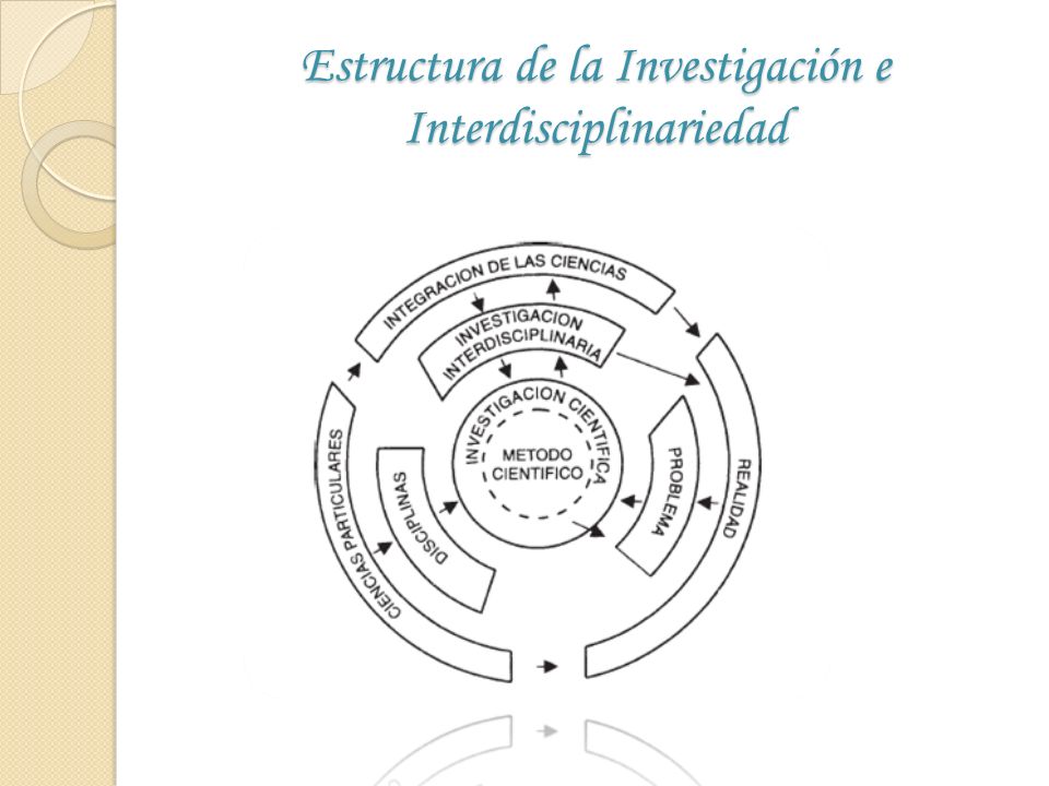 Estructura de la Investigación e Interdisciplinariedad