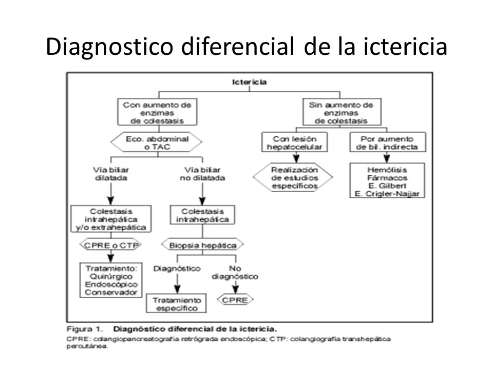Diagnostico diferencial de la ictericia