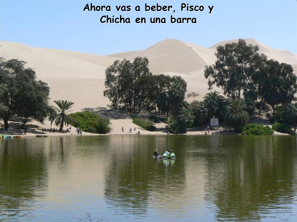 Ahora vas a beber, Pisco y Chicha en una barra