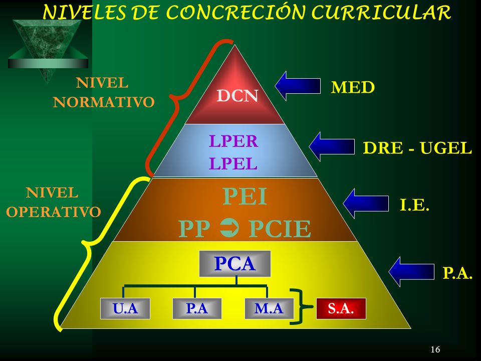 PEI PP  PCIE PCA NIVELES DE CONCRECIÓN CURRICULAR MED DCN LPER