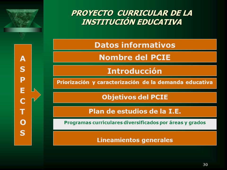 PROYECTO CURRICULAR DE LA INSTITUCIÓN EDUCATIVA