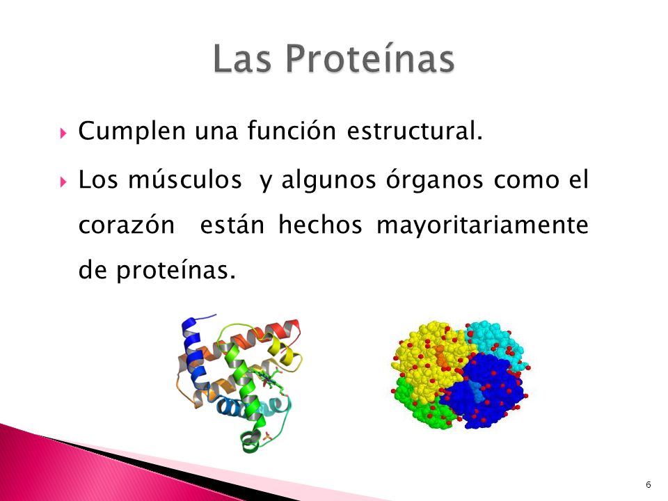 Las Proteínas Cumplen una función estructural.