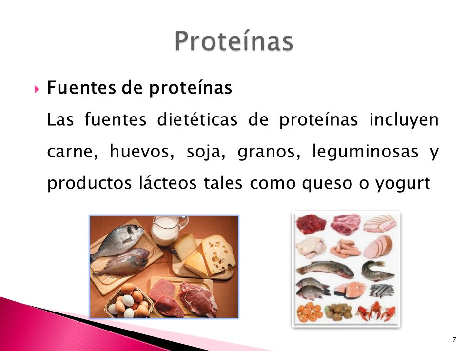 Proteínas Fuentes de proteínas