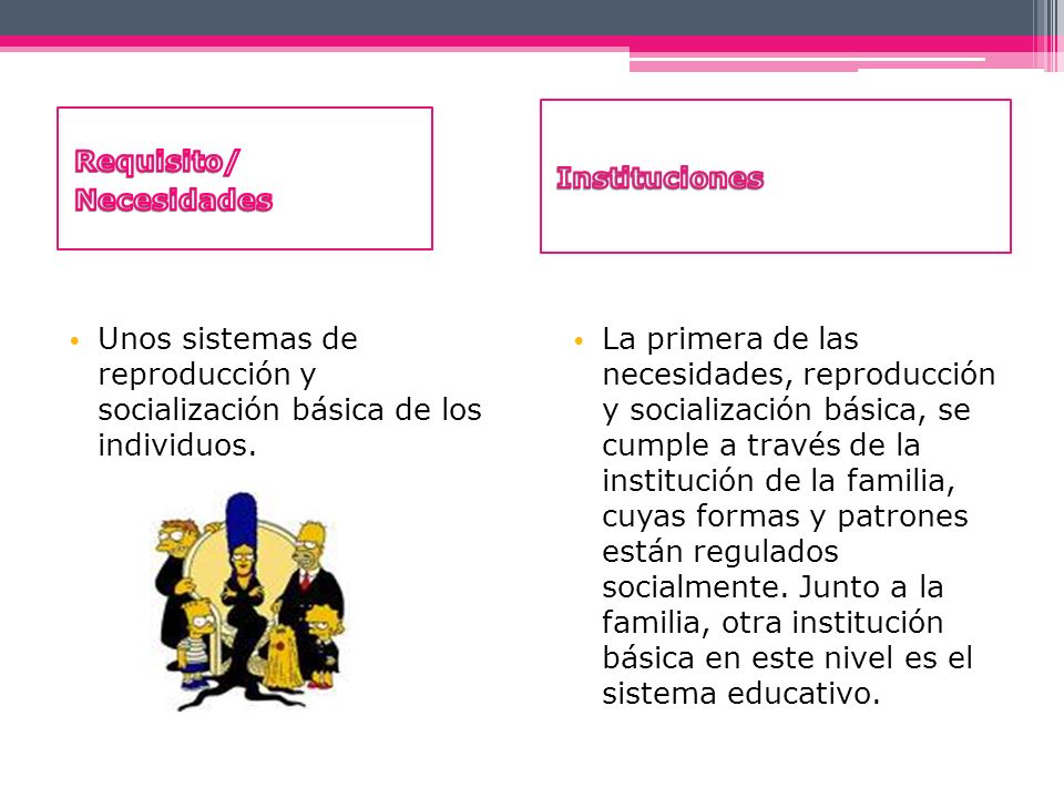 Instituciones Requisito/ Necesidades. Unos sistemas de reproducción y socialización básica de los individuos.