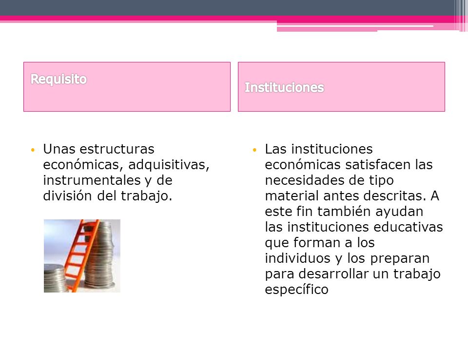 Requisito Instituciones. Unas estructuras económicas, adquisitivas, instrumentales y de división del trabajo.
