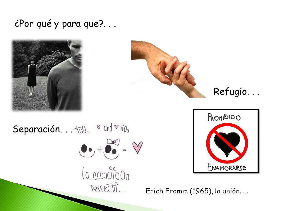 ¿Por qué y para que Refugio. . . Separación. . .