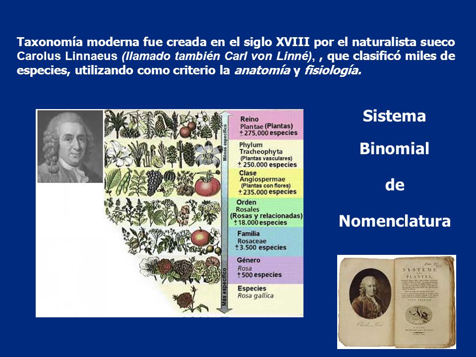 Sistema Binomial de Nomenclatura