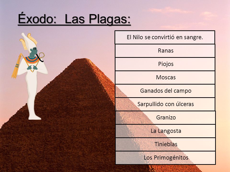 Éxodo: Las Plagas: El Nilo se convirtió en sangre. Ranas Piojos Moscas