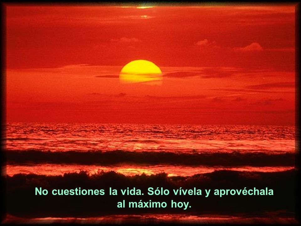 No cuestiones la vida. Sólo vívela y aprovéchala al máximo hoy.