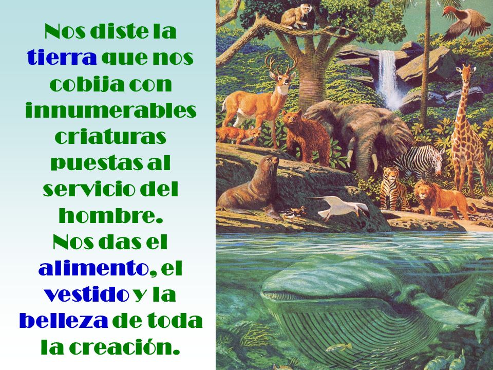 Nos diste la tierra que nos cobija con innumerables criaturas puestas al servicio del hombre.
