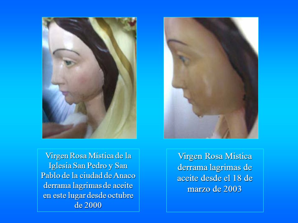 Manifestaciones de la Virgen María, Rosa Mística - ppt descargar Manifestaciones de la Virgen María, Rosa Mística - ppt descargar