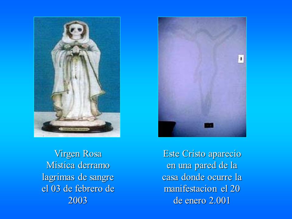 Virgen Rosa Mistica derramo lagrimas de sangre el 03 de febrero de 2003