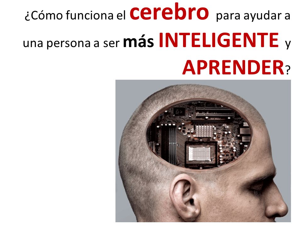 ¿Cómo funciona el cerebro para ayudar a una persona a ser más INTELIGENTE y APRENDER