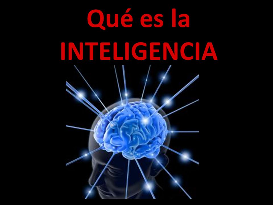Qué es la INTELIGENCIA