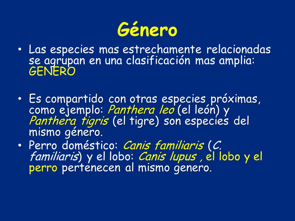 Género Las especies mas estrechamente relacionadas se agrupan en una clasificación mas amplia: GENERO.