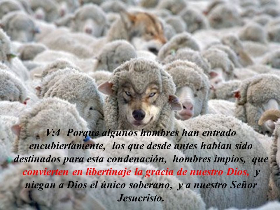 V:4 Porque algunos hombres han entrado encubiertamente, los que desde antes habían sido destinados para esta condenación, hombres impíos, que convierten en libertinaje la gracia de nuestro Dios, y niegan a Dios el único soberano, y a nuestro Señor Jesucristo.