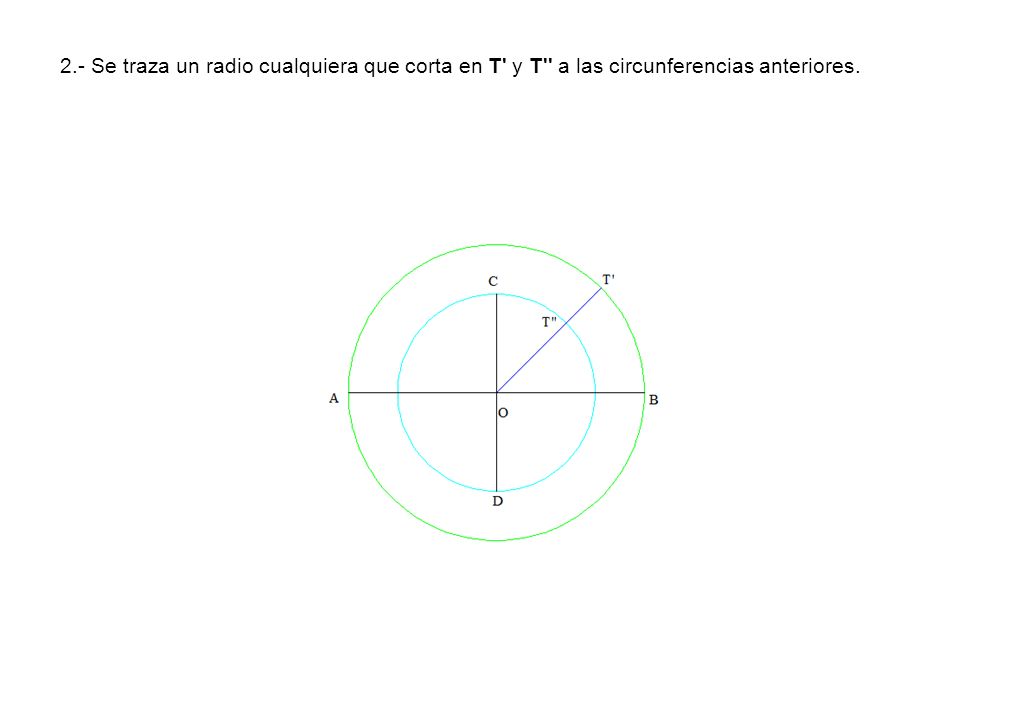 2.- Se traza un radio cualquiera que corta en T y T a las circunferencias anteriores.