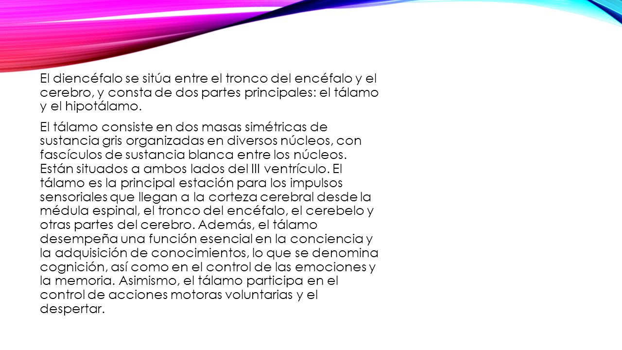 El diencéfalo se sitúa entre el tronco del encéfalo y el cerebro, y consta de dos partes principales: el tálamo y el hipotálamo.