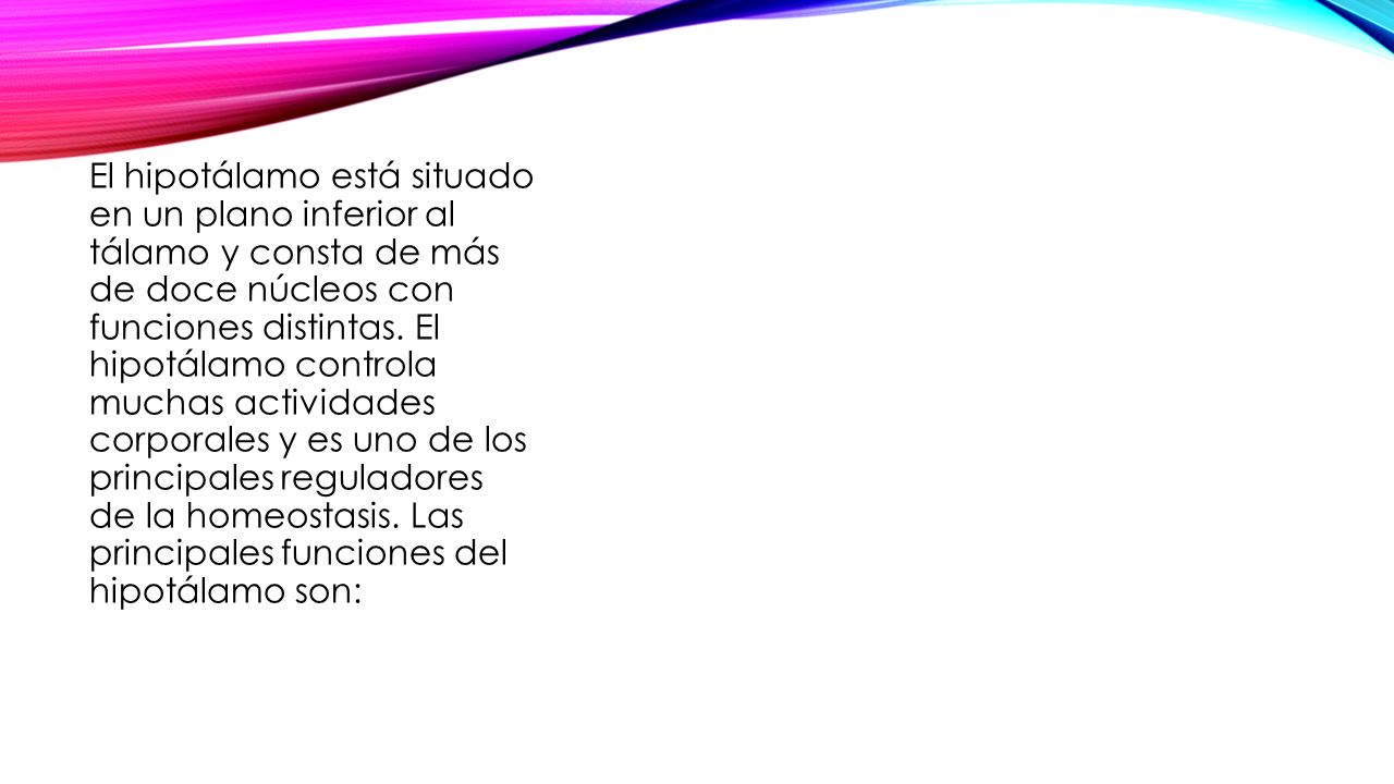 El hipotálamo está situado en un plano inferior al tálamo y consta de más de doce núcleos con funciones distintas.