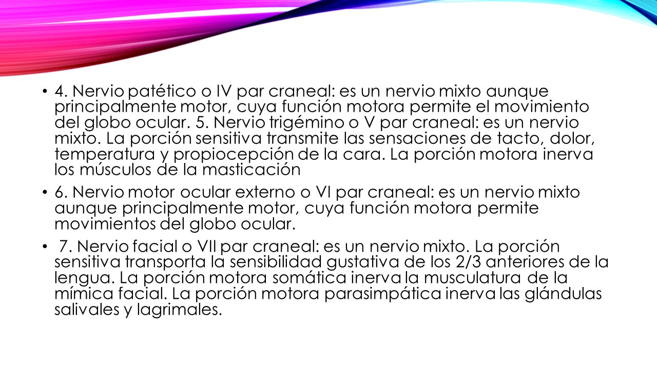 4. Nervio patético o IV par craneal: es un nervio mixto aunque principalmente motor, cuya función motora permite el movimiento del globo ocular. 5. Nervio trigémino o V par craneal: es un nervio mixto. La porción sensitiva transmite las sensaciones de tacto, dolor, temperatura y propiocepción de la cara. La porción motora inerva los músculos de la masticación